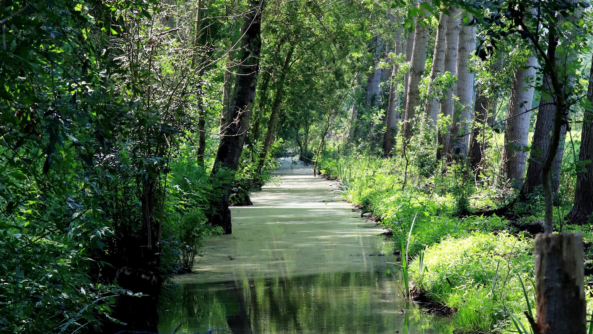 Tourisme responsable deux-sèvres
