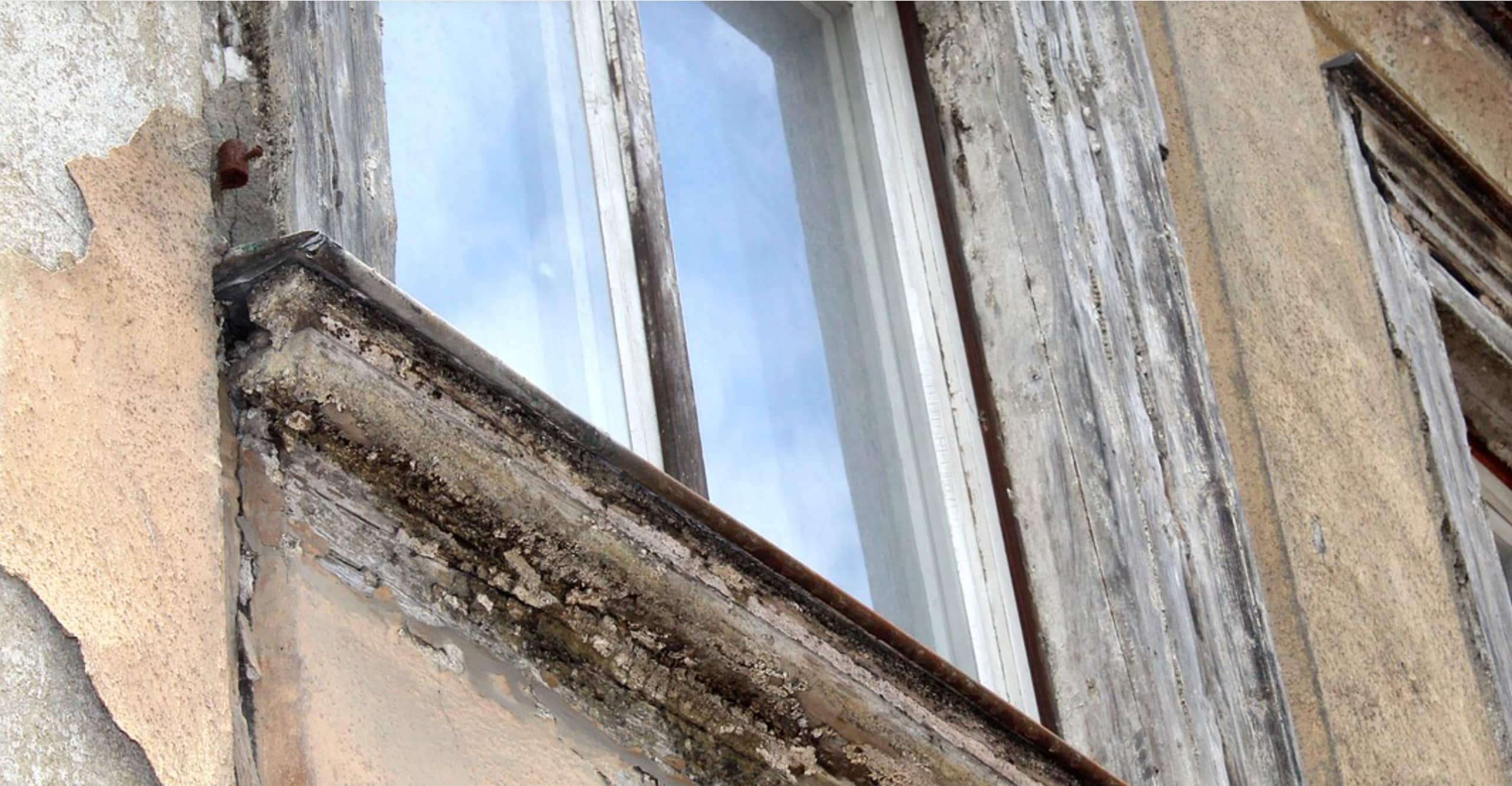 habitat indinge en deux-sèvres