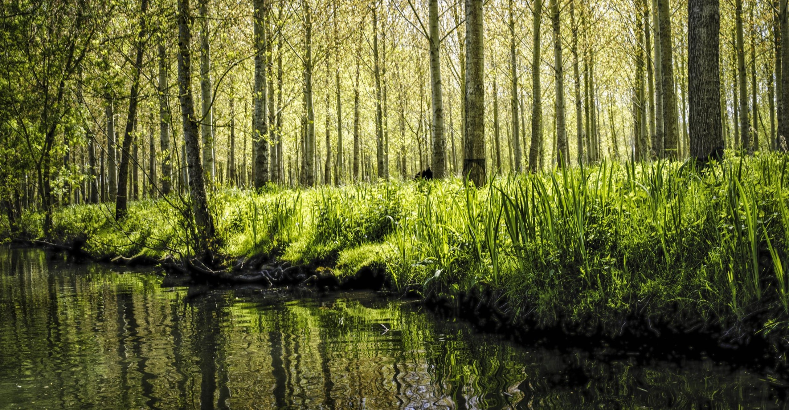 Tourisme Deux-Sèvres en 2026 marais poitevin