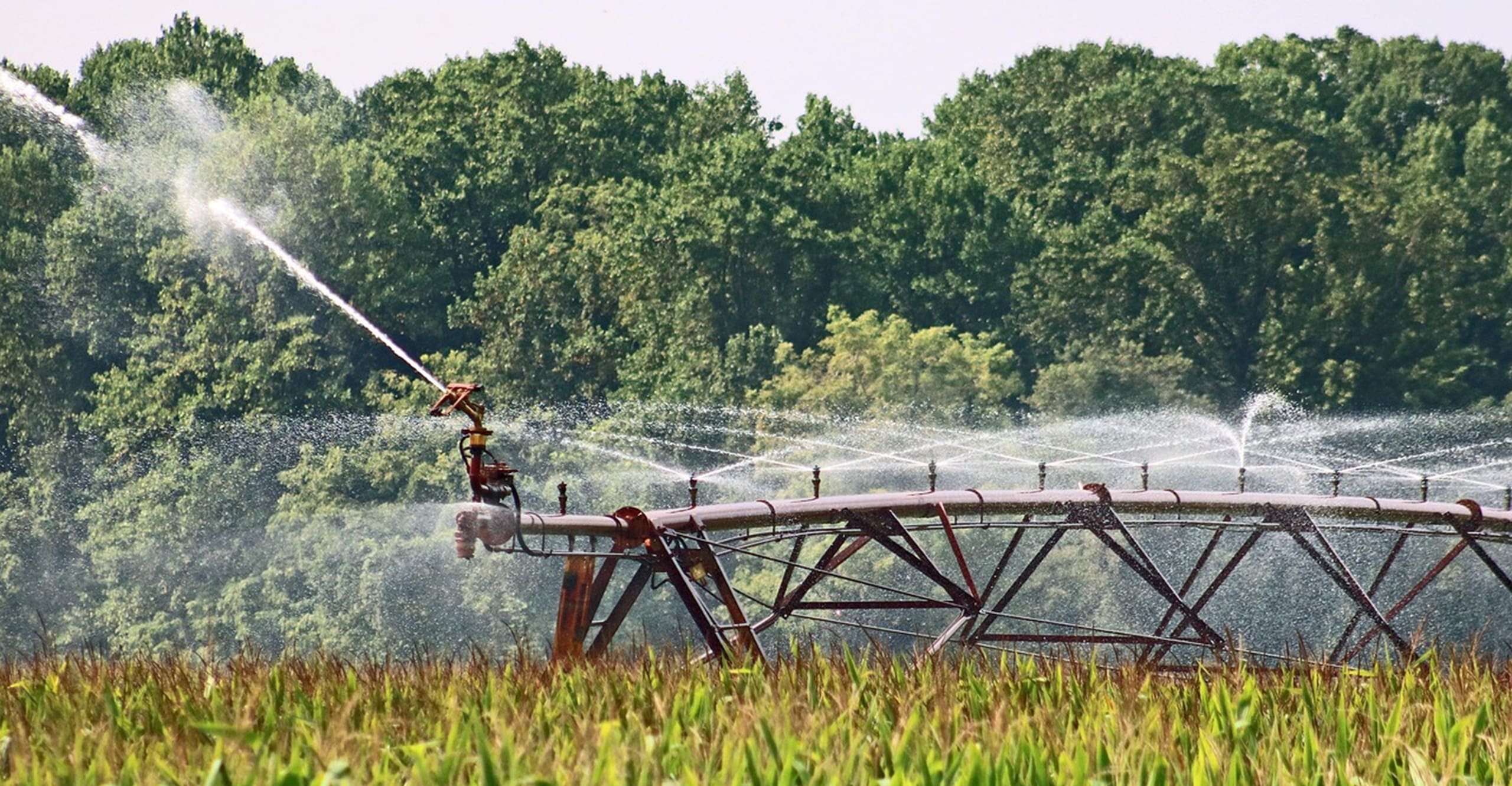 15 juin 2026 restrictions des usages de l'eau deux-sèvres