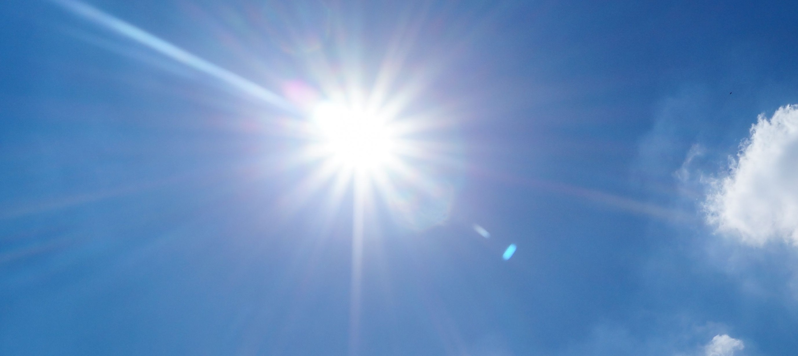 Canicule à Niort ce 25 juin 2026