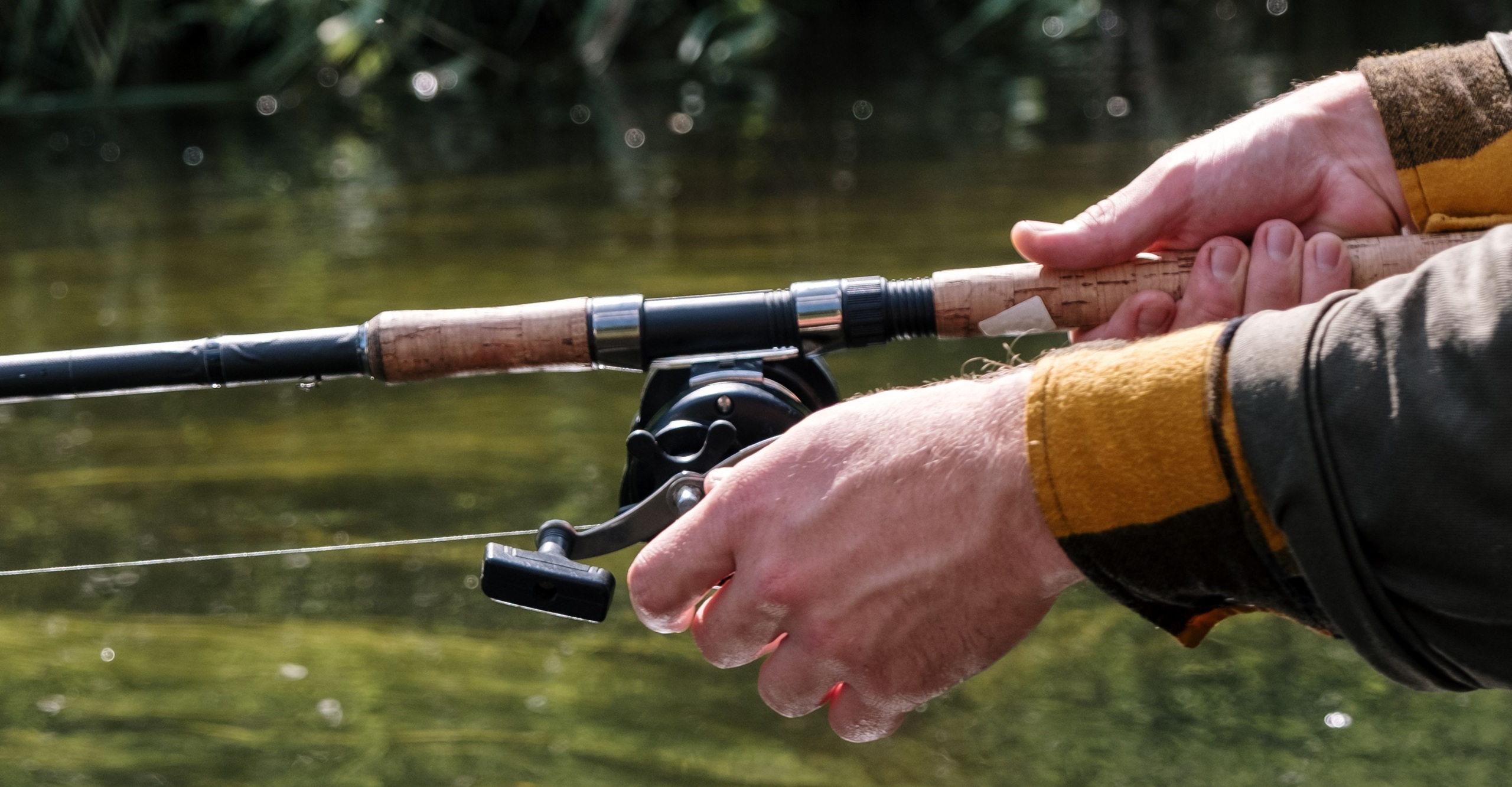 Lac du Cébron interdiction de consommer le poisson pêché