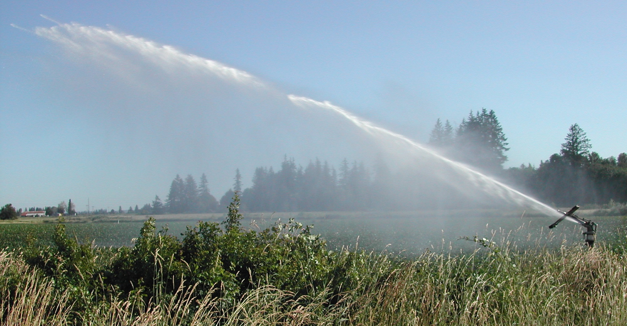 Nouvelles restrictions de l'eau dans les Deux-Sèvres dès le 22 juin 2026