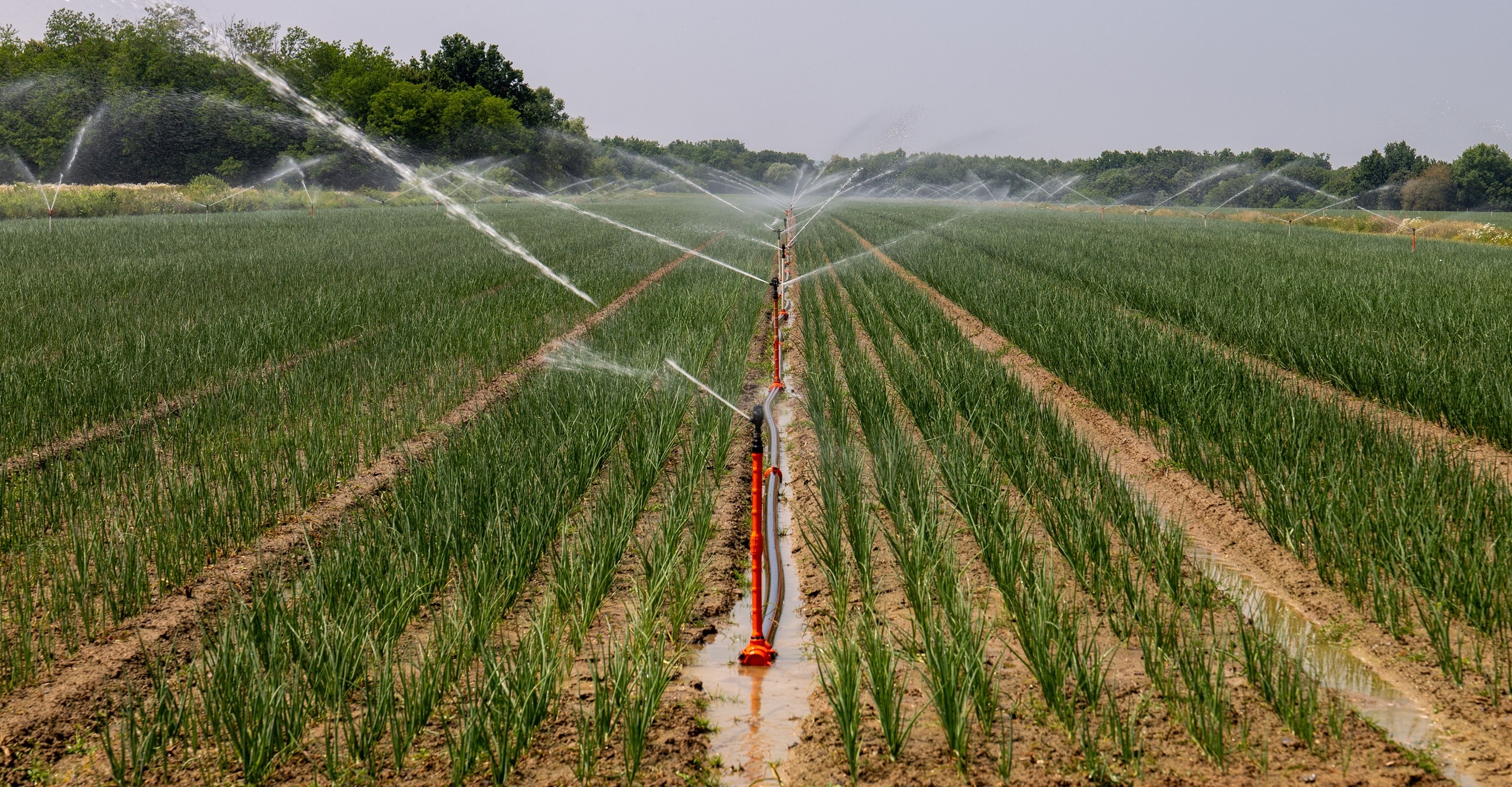 23 juillet 2026 Nouvelles restrictions des usages de l'eau