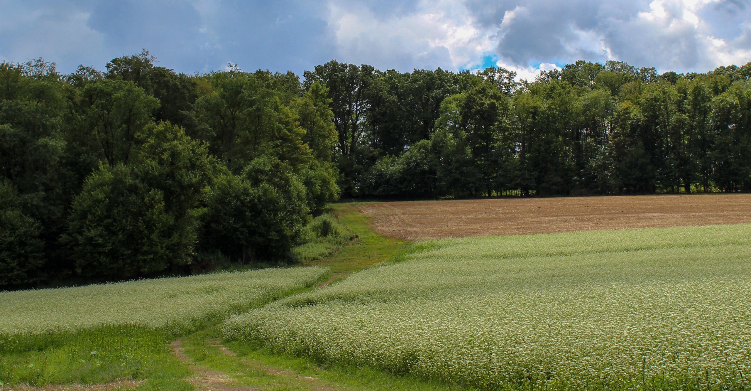 Restrictions agricoles et forestières de nouveau deux-sèvres juillet 2026