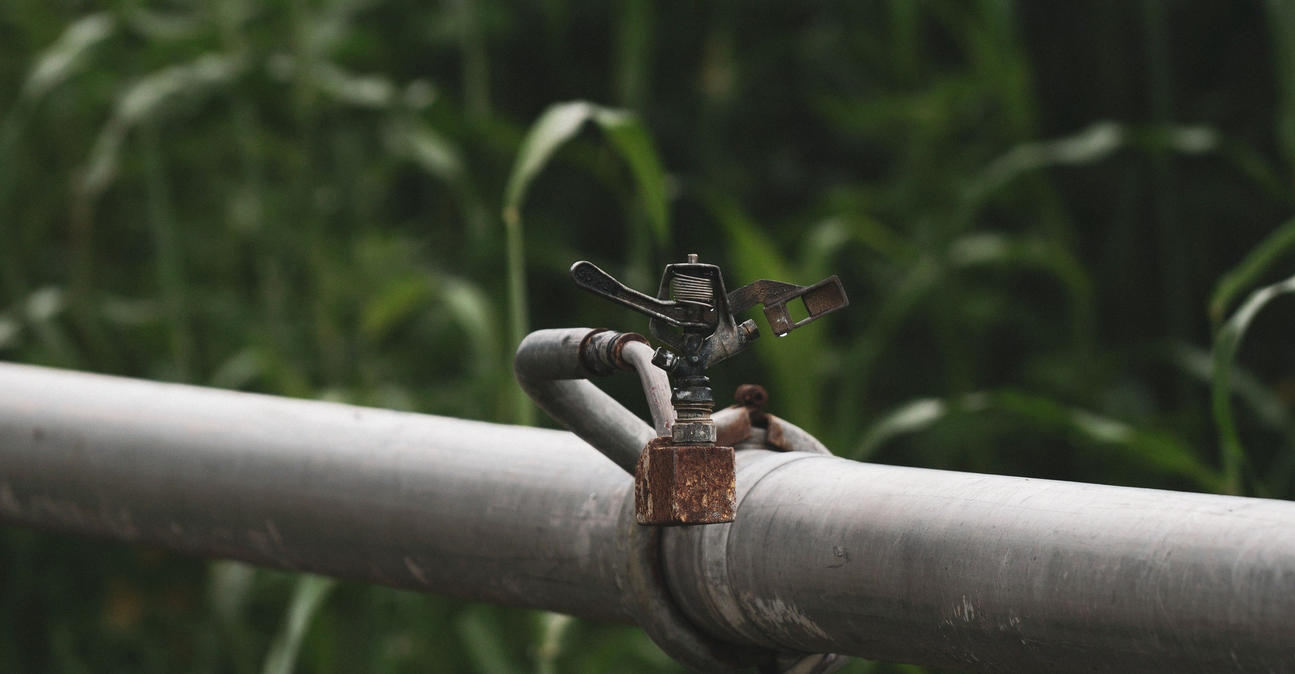 Restrictions d'eau renforcées dans les Deux-Sèvres